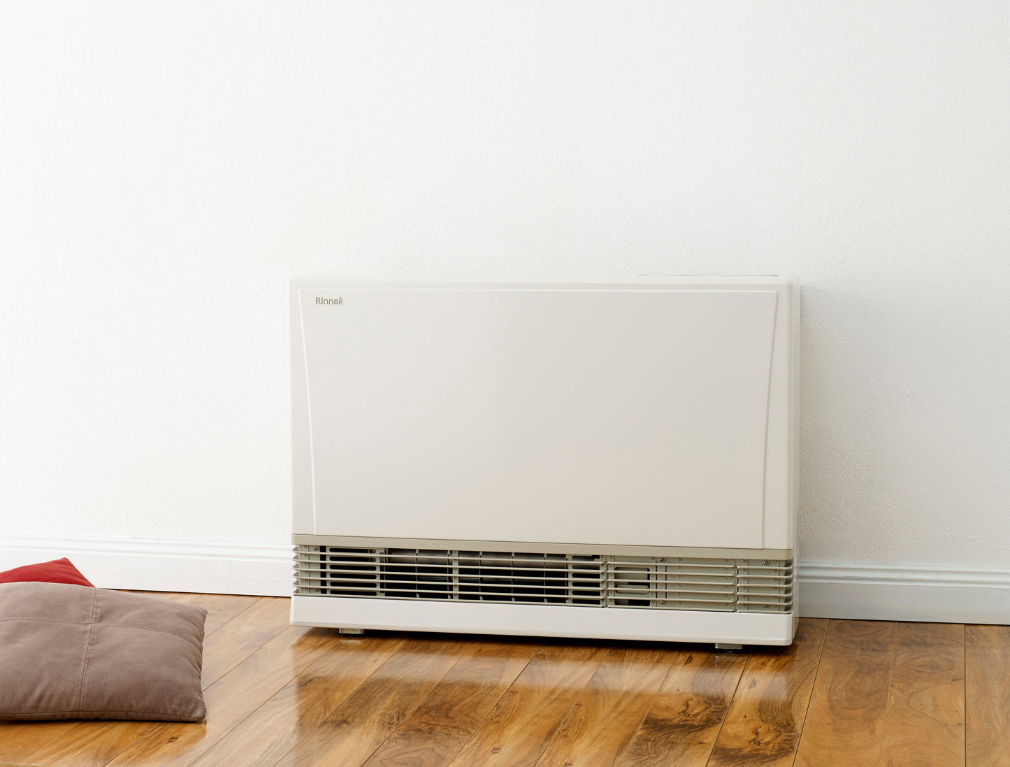 Rinnai 1005FTS