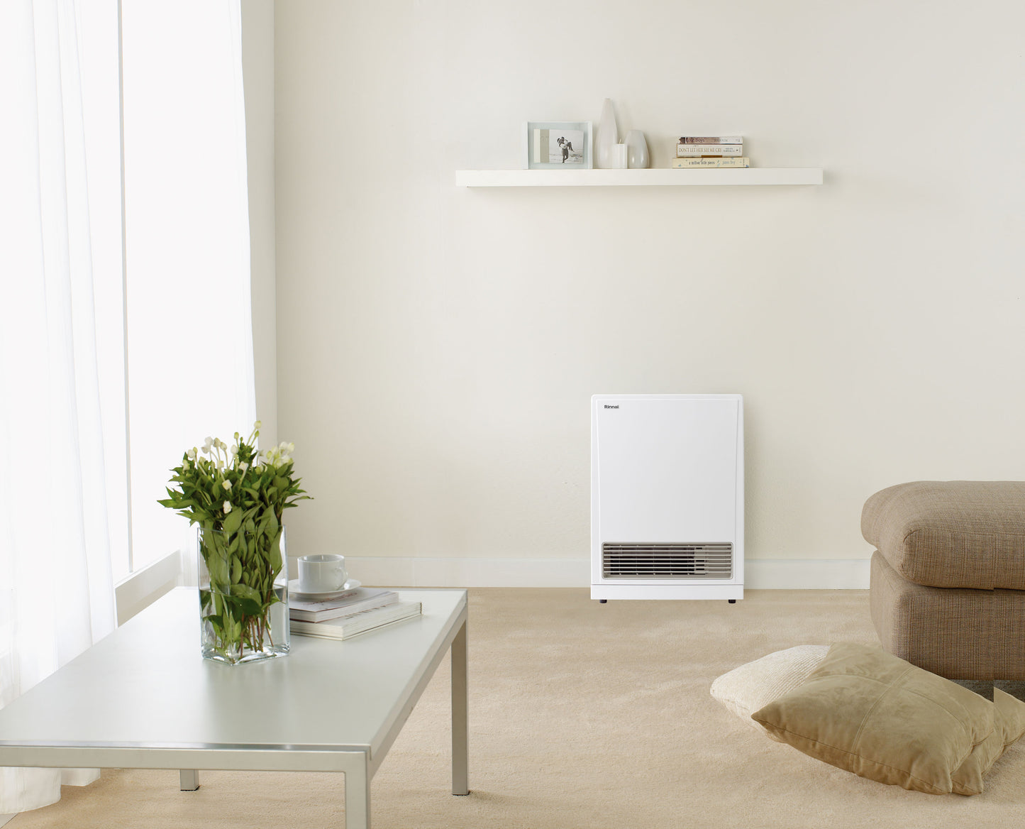 Rinnai 561FTS